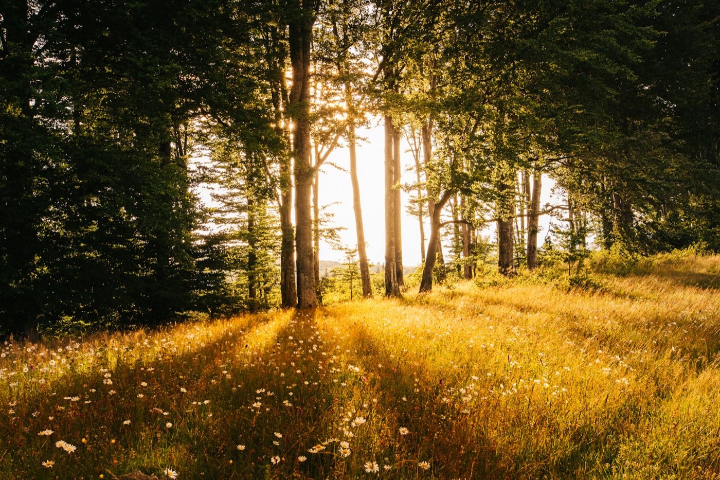Preventing burnout, regaining momentum