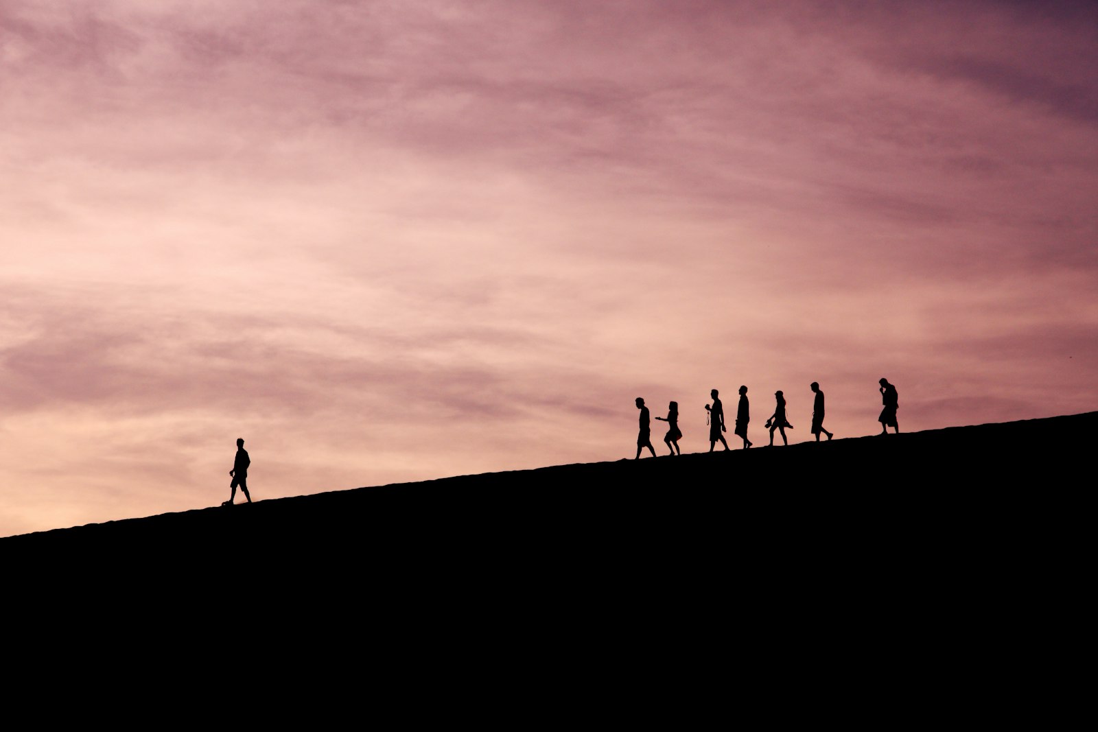 Leadership and roles: finding your place