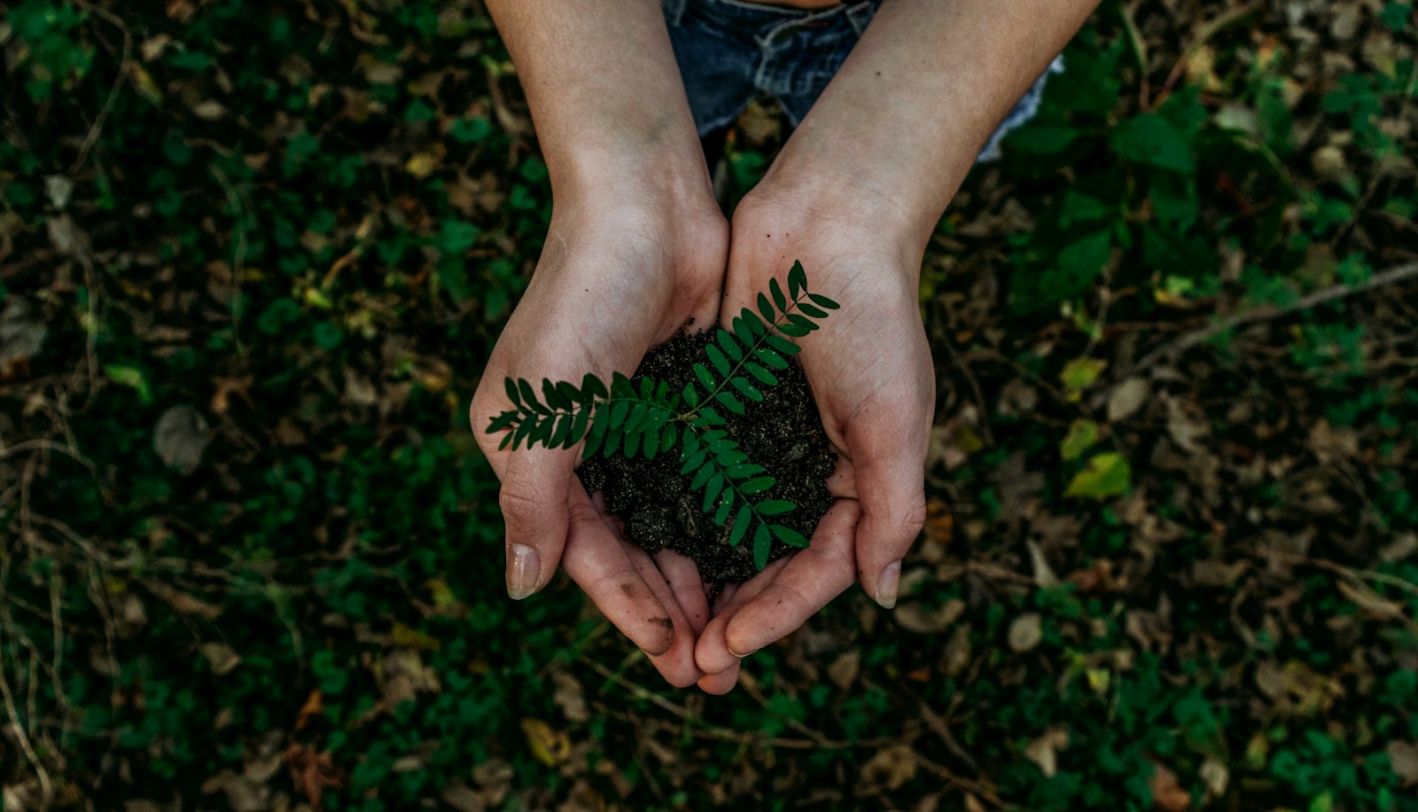 Le développement durable, une aventure d'équipe